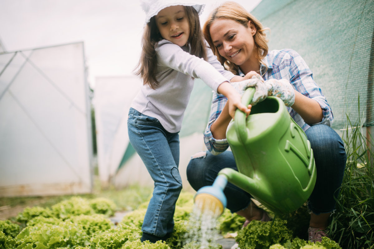 A picture of a mom and her daughter watering their plants. The little girl has long, brunette hair and is wearing a light purple hat and shirt. The mom has short blonde hair and is wearing a plaid shirt.