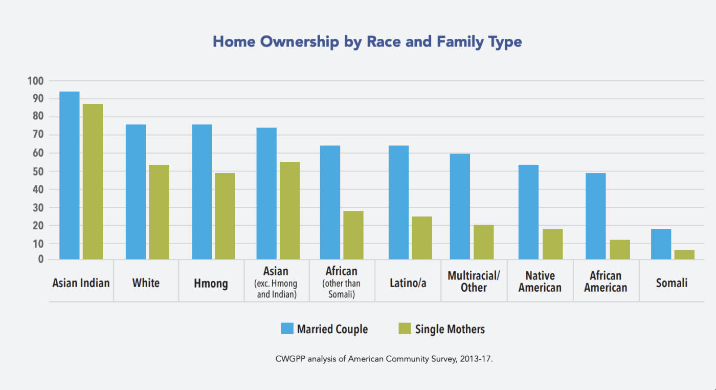 100 Rural Women Data - Home Ownership by Race and Family Type