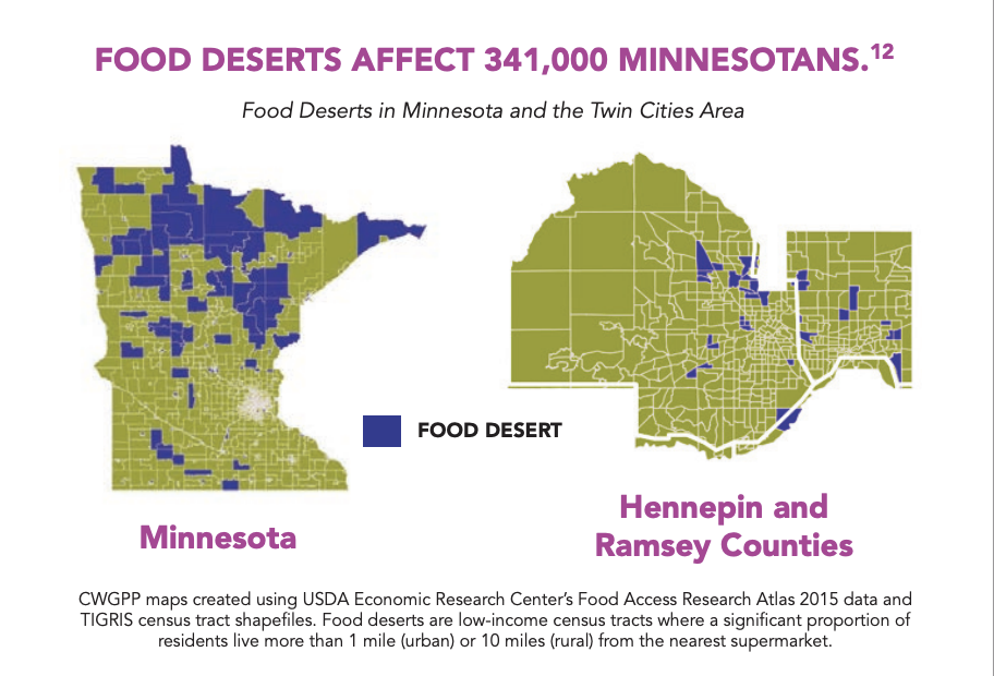 100 Rural Women Data MN Food Deserts