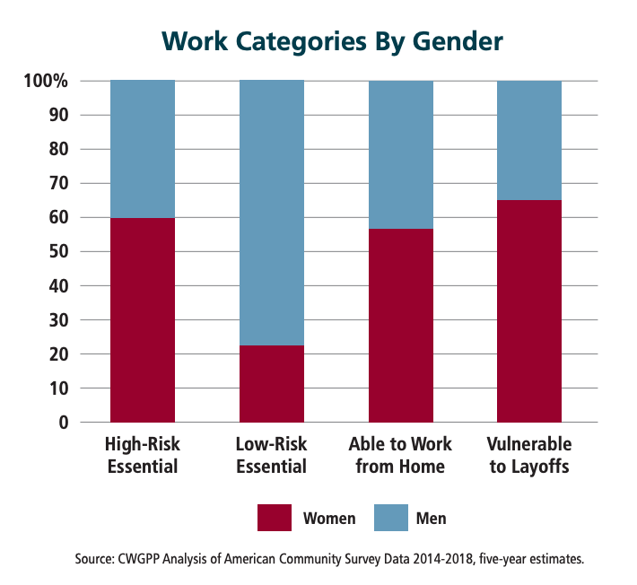 100 Rural Women Data Work Categories by Gender